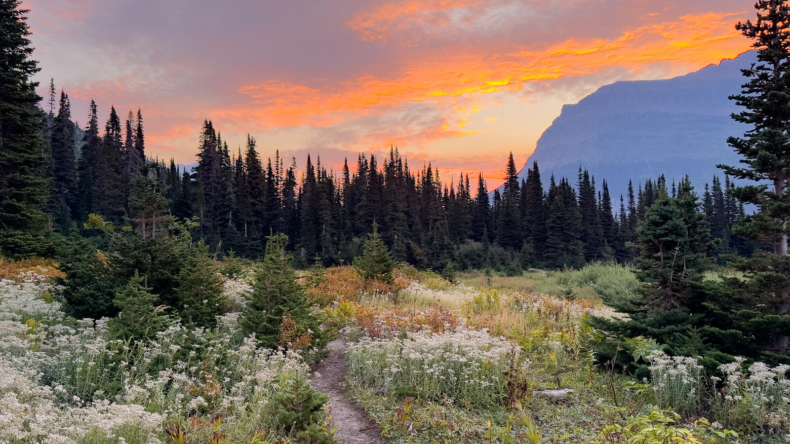 Glacier National Park